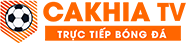 reviewcongty